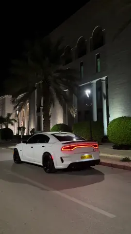 الباندا 🐻‍❄️ #fyp #explore #edit 