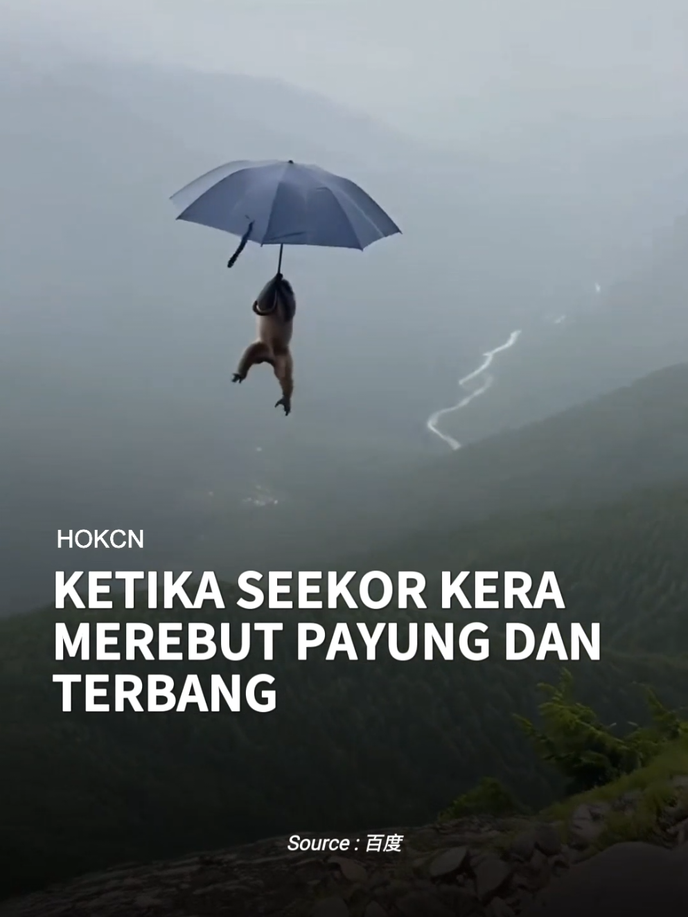 Seekor Kera Merebut Payung Dan Terbang Ketika AI Hampir Sempurna Menyerupai Dunia Nyata #kerasakti #terbang #monkey #china #ai 