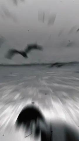 #fypシ゚ #foryou #trending #viral #foryoupage 