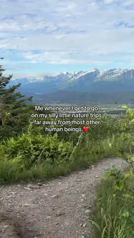 Humans really saw this and created a 9-5, huh?  #nature #Hiking #realitycheck #beautifulnature #alaska 