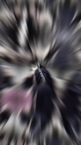 trai Busan liệu có làm em đổ?#shinarim#lookismwebtoon#xuhuong#xh#viral 