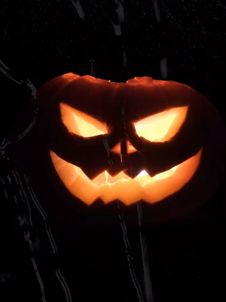 Pour Halloween les monstres sont de sortie. Mais au refuge, pas de panique! Agathe n’en fait qu’un bouchée 🎃 #halloween #monstre #supercochon #refugeanimalier