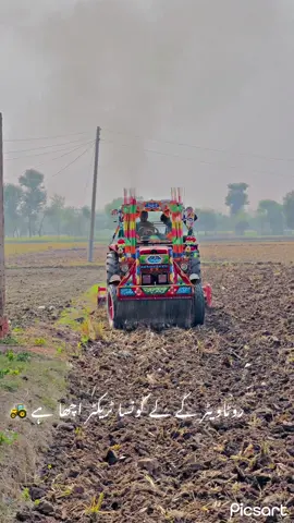 #foryoupage❤️❤️ #ہمایوں🥀 #foryoupageofficiall #Saymashallah #viralvideo 