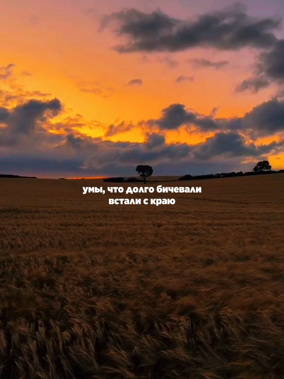 Мотивы твои тут стали недостойными, увы. #miyagi #эндшпиль #obrigado #hajimerecords #miandandypanda 