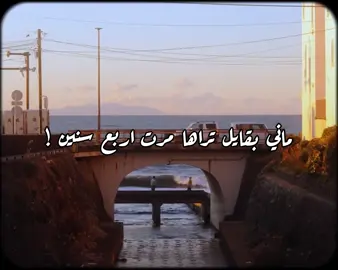 #fyp #explore #شيلات #فلاح_المسردي 