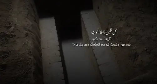 💔”                             #foryou #explore #qoran #zaxo #duhok 