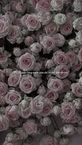 Mẫu #CapCut | Người ta nói vợ chồng, vợ lúc nào cùng trước... I #zenith #capcutpioneer #pioneertemplate