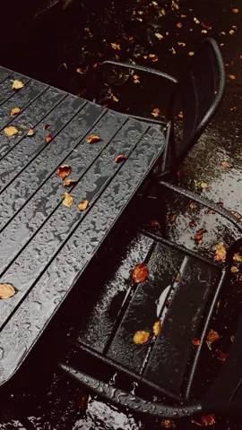 #осінь #україна #длятебе #львів #fyp 