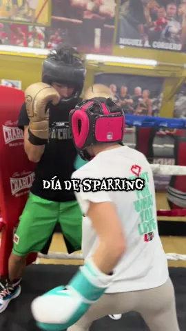 La práctica hace al maestro!! 🔥 #boxeo #boxing #boxingtraining #boxingday #teamsanchez