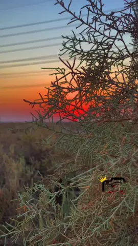 طارق الهليجي 📸 اشكد ادعي على موتي 💔#تصويري #تصويري_احترافي_الاجواء👌🏻🕊😴 #اغاني #جواد الساعدي#موال حزين