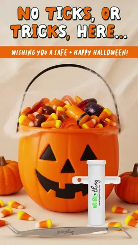 Don’t let a little bite turn into a BIG FRIGHT. 👻🕷️ Wishing you a safe and spooky Halloween — and don’t forget to pack your Bug Bite Thing and Tick Remover Tool before heading out to trick-or-treat! 🎃 #BugBiteThing #HappyHalloween #BiteFree