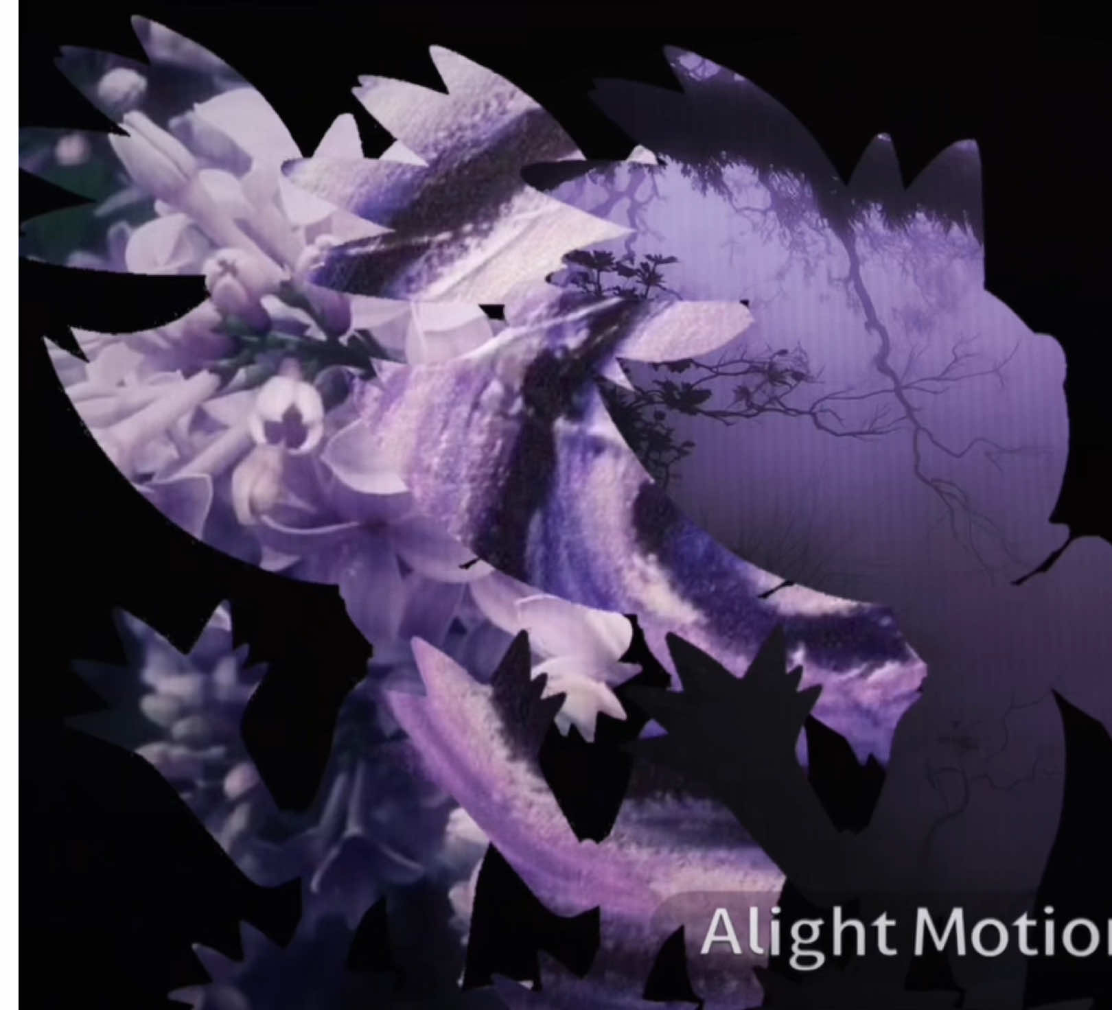 helo happy halloween sorri for not posting in awhile but anyweys i made this with alight motion and capcut umm idk who made the trend 😿 || #blaze #blazethecat #animation #fyp #sonic #edit 