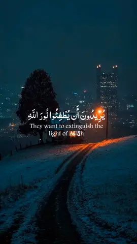 #يريدون_ان_يطفئو_نور_الله_بافواههم #القارئ اليمني احمد المزجاجي #قران_كريم #الحمدلله_دائماً_وابداً #اكسبلور 