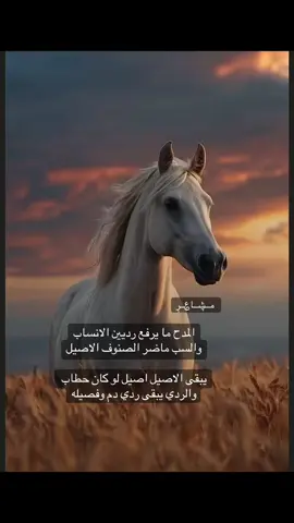 مساء الخير  #اكسبلور #مشاعر #fyp #fyppppppppppppppppppppppp #قصايد_شعر_خواطر 