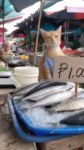 wag mo kasi asarin nagalit tuloy🤣🤣