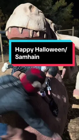 Saylor as Wednesday #wednesday #halloween #samhain @AA-Rontheguy @Brinley Peterson 