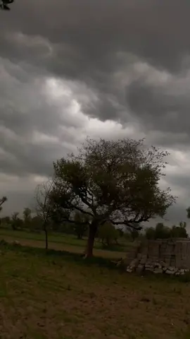 یاد رکھیں جب آپ اللہ سے خیر کی دعائیں مانگنا شروع کریں گے تو بہت سے لوگ معمولی رنجشوں پہ آپ سے دور ہونے لگیں گے اور آپ افسردہ ہونے لگیں گے کہ آپ کے چاہنے والے آپ سے دور جا رہے ہیں غم نہ کریں اور یقین رکھیں وہ آپ کے پاس سے وہی چیز، انسان دور کرے گا جس کے پاس اپ کے لیے قطعاً کوئی بھلائی نہیں ہو گی جانے والوں کو جانے دیں اور آنے والوں کو ویلکم کریں اپنی خیر کی دعاؤں پہ یقین رکھتے ہوئے ⁦#underreview 