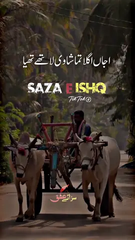 اجاں اگلا تماشا وی لاتھے تھیا 🥺😓 #foryou #foryoupage #foryoupageofficiall #foryouofficial #saraikipoetry #dontunderreviewmyvideo #1millionviews #unfrezzmyaccount 