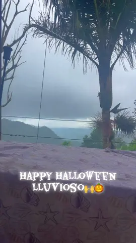 #desdemibalcon #villalbapr🇵🇷 #cerromaravillalbaPR 