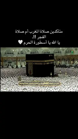 اللهم بارك #اذكروا_الله #islam #سبحان_الله_وبحمده_سبحان_الله_العظيم #الشيخ_عبدالله_الجهني #تلاوة_خاشعة 