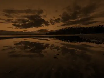 أنَا  عَلْيّى فَاطمُةْ بالله طُيَـــــــــــبُيّ ..🎧🤎 . . . . . . . . . . . . . . . . . . . . . . . .. . . . . . . . . . . . . . . . . . . . . . . .. . . . . . . . . . . . . . . . . . . . . . . . #علي_الوائلي #عظم_الله_اجورنا_واجوركم_بهذا_المصاب #استشهاد_فاطمه_الزهراء_ع_كسر_ظلعها_😭#creatorsearchinsights #fyp 