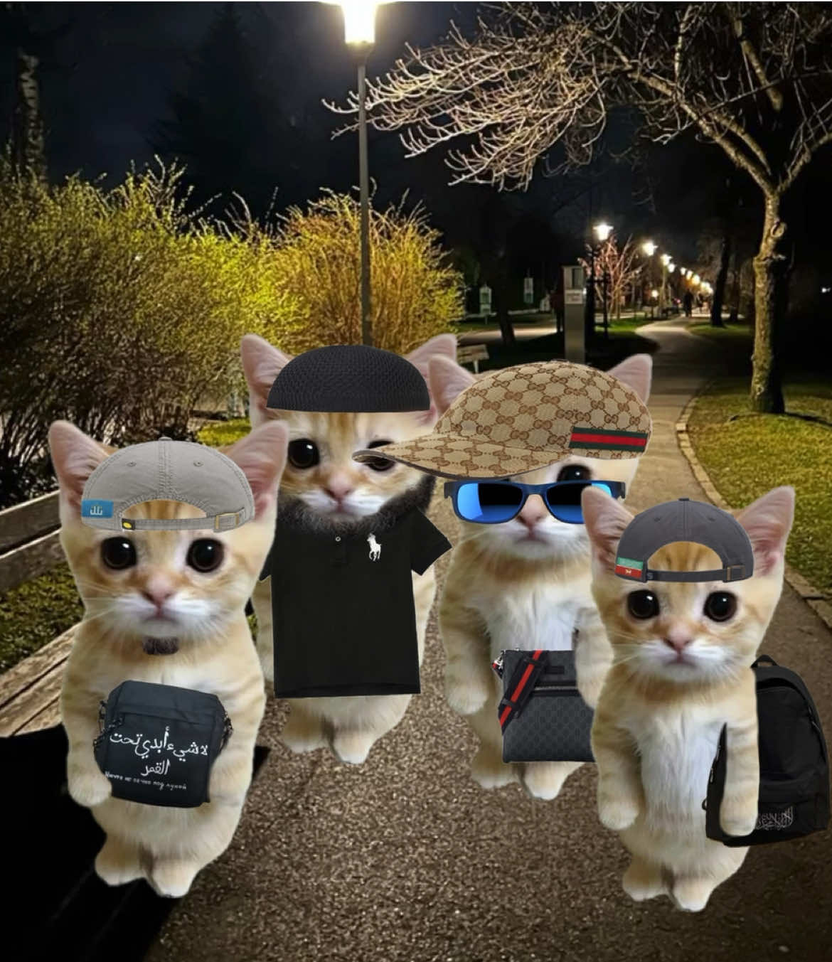 Хамза и Ансар краши, честь отстаивают Камилы!  #fyppppppppppppppppppppppp #рекомендации #fyp #elbruso #on 