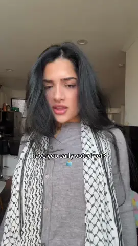 beinging this iconic sound back. have you voted yet? don’t listen to the polls and go out and VOTE!! #mamdani #zohranmamdani #nycelections #zohran 