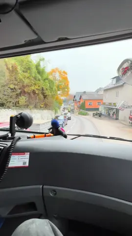 passenger princess 🥸 #emergencycall #firefighter #viral #feuerwehr 