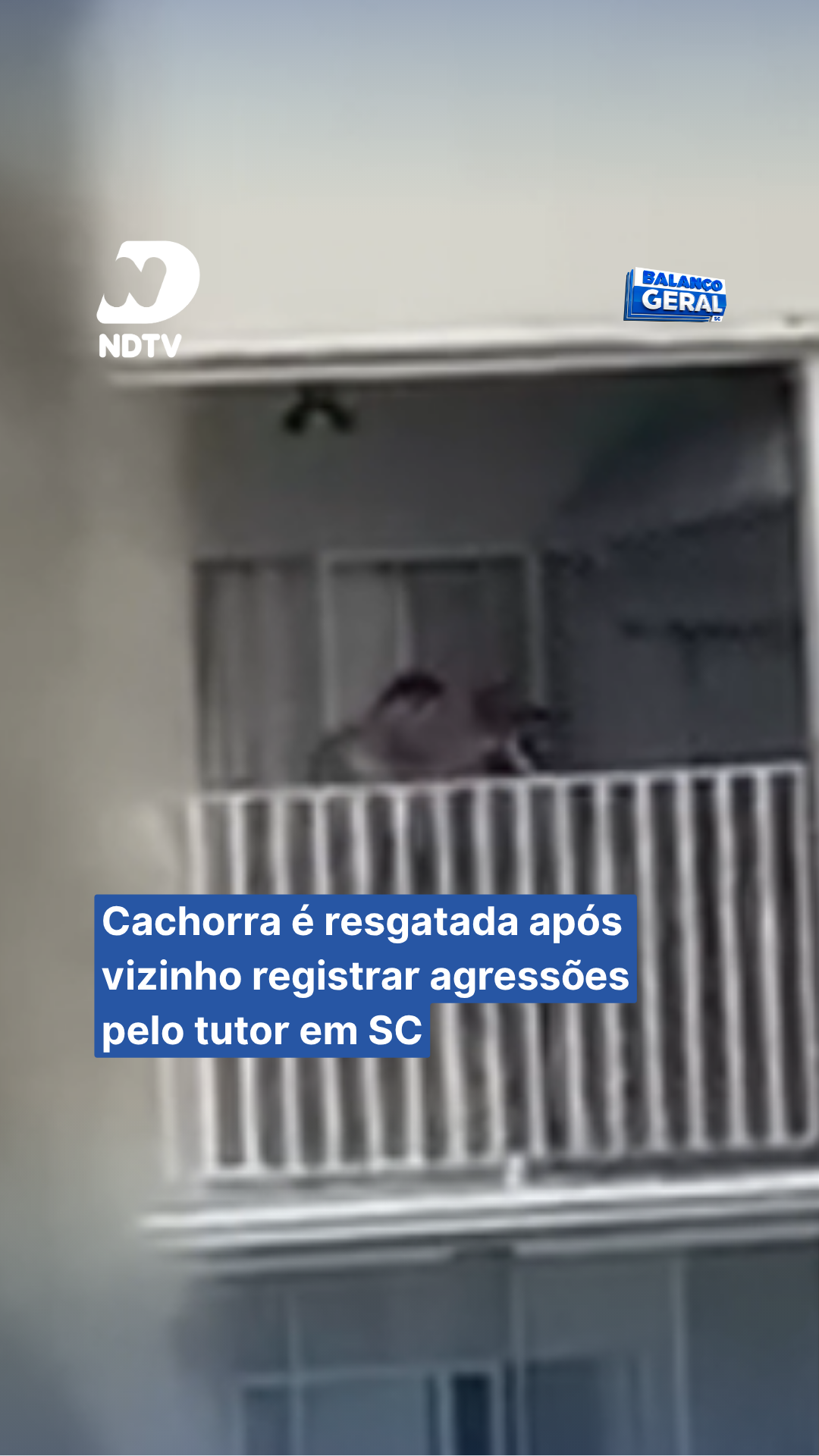 Cachorra vítima de agressões é resgatada em condomínio, em Joinville. O resgate foi realizado pela Delegacia de Proteção Animal após uma denúncia acompanhada de imagens feitas por um vizinho. A cadela foi encaminhada ao Centro de Bem-Estar Animal (CBEA), onde passará por exames veterinários antes de ser colocada para adoção responsável. Assista a reportagem completa em ndplay.com.br #ndtvjoinville #joinville #santacatarina #ndtvrecord #ndmais #resgateanimal #protecaoanimal #maustratos #cbea #policiacivil #bemestaranimal #adocaoconsciente #noticia #seguranca #justicaanimal