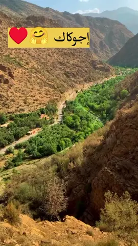 #أحواش،👋_نتمازيرت👏👏👏 #عادات_وتقاليد #تارودانت💟😊____تمازيرت__اينو💖🥀💖🥀💖 #fypシ゚ #بلجيكا🇧🇪_بروكسيل_المانيا_فرنسا_هولندا 