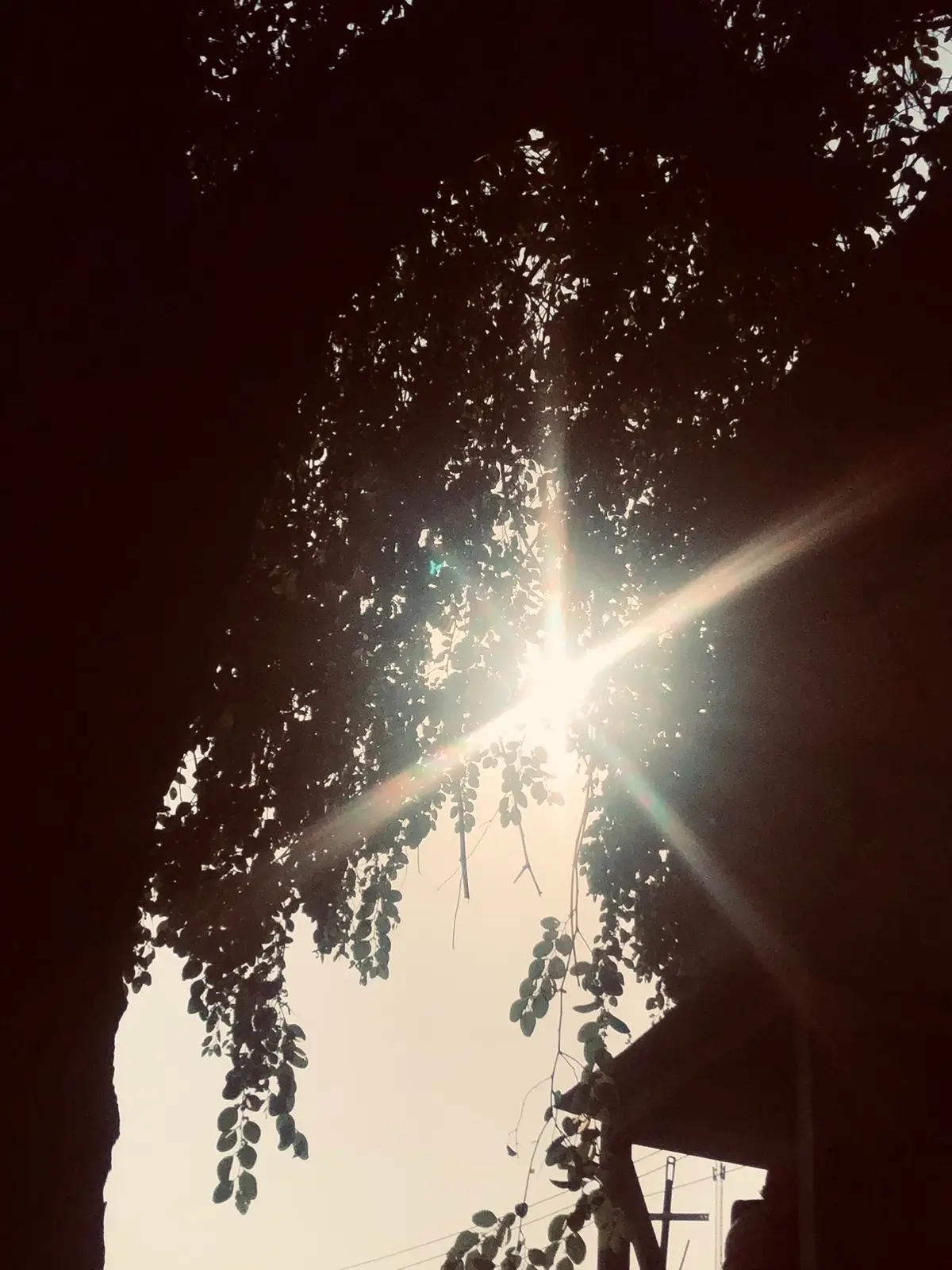 #explore #r #fyp #عشوايات 