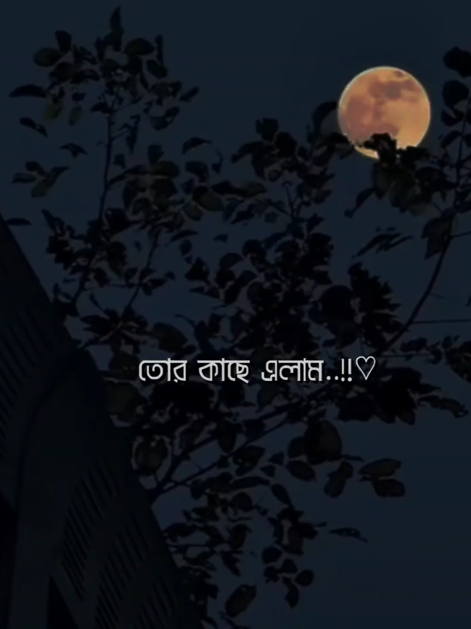 Feel This Song 💝🎧 #its_me_fahim_12 #lyrics_songs #foryou #viraltiktok #viralvideo @TikTok @For You 