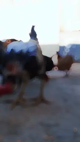 #contentcreationtutorial 