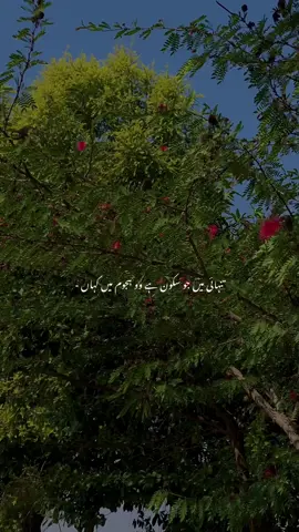 #foryou #creatorsearchinsights 