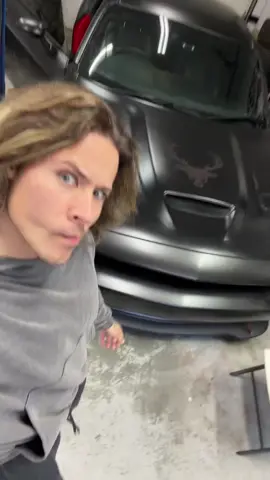 Who’s gonna win the kitty