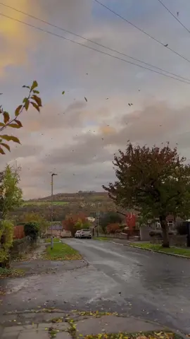 #💚🌞❤️ #fouryou #London #fyp #هەولێر_سلێمانی_دەهۆک_ڕانیه_کەرک 