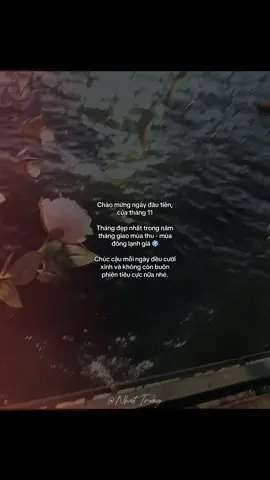 #_nhat_trung🤍 #dntxuhuong #fbtxuhuong 