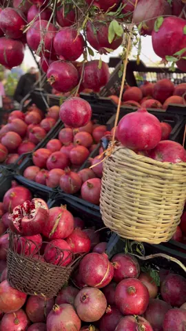 ڤیستیڤاڵی هەناری هەڵەبجە👌♥️😍#halabja #foryoupage #fyp #actives? #likes 