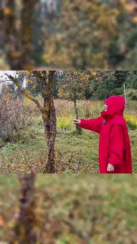 Luxury Camping in the Comfort of a 5-Star Hotel in Autumn #snowcamping #campinginthesnow #wintercamping #fyp #survival 