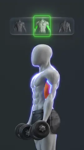 🚀🔥 No Gym? No Problem — Upper Body Workout with Dumbbells