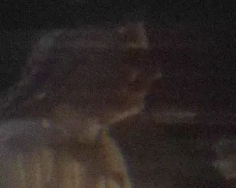 خربانه العرق.... #شعراء_وذواقين_الشعر_الشعبي🎸 #تصميم_فيديوهات🎶🎤🎬 