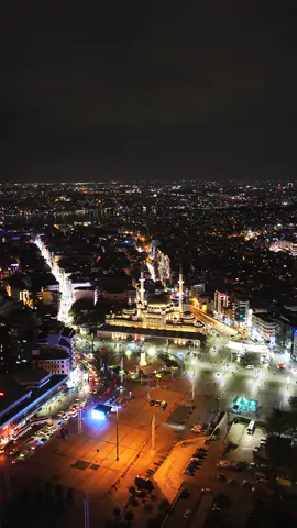 14589165_720_1280_24fps