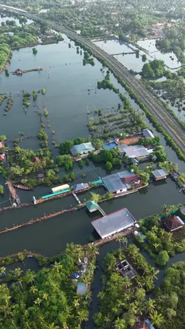 14607451_720_1280_60fps