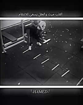 #لايك_متابعه_اكسبلور #تصميم_فيديوهات🎶🎤🎬 #عبارتكم_الفخمه📌📿 #fyp #منشن 