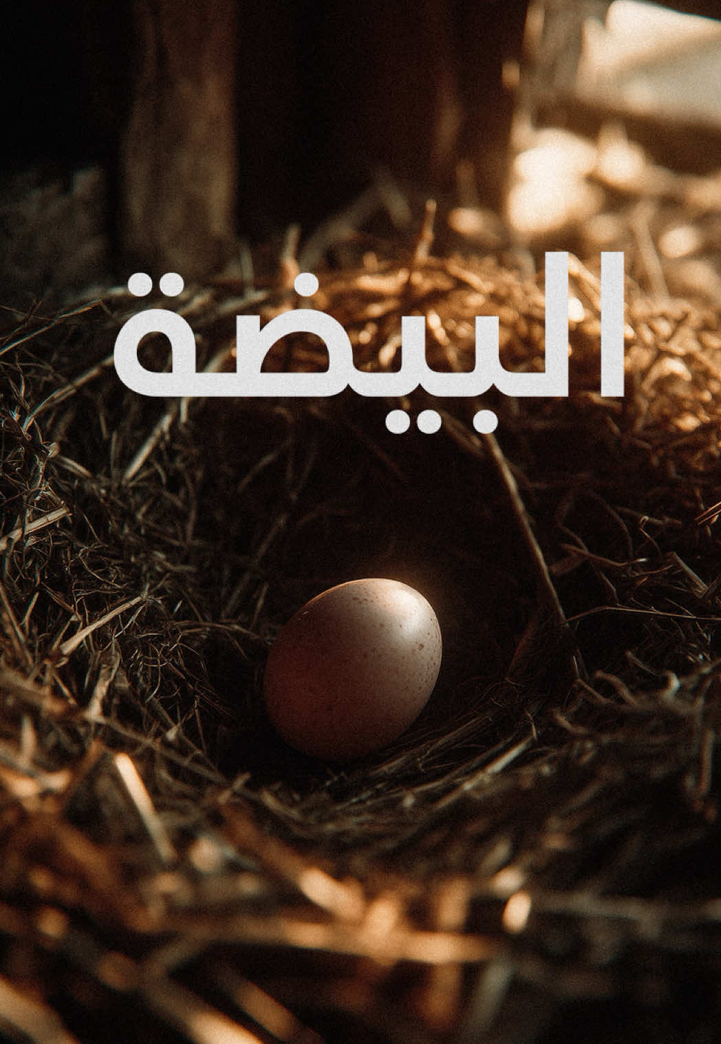 ⁨	البيضة | الحديث: سَأَلَ هِشَامَ بْنَ الْحَكَمِ فَقَالَ لَهُ أَ لَكَ رَبٌّ فَقَالَ بَلَى قَالَ أَ قَادِرٌ هُوَ قَالَ نَعَمْ قَادِرٌ قَاهِرٌ قَالَ يَقْدِرُ أَنْ يُدْخِلَ الدُّنْيَا كُلَّهَا الْبَيْضَةَ لَا تَكْبُرُ الْبَيْضَةُ وَ لَا تَصْغُرُ الدُّنْيَا قَالَ هِشَامٌ النَّظِرَةَ فَقَالَ لَهُ قَدْ أَنْظَرْتُكَ حَوْلًا ثُمَّ خَرَجَ عَنْهُ فَرَكِبَ هِشَامٌ إِلَى أَبِي عَبْدِ اللَّهِ ع فَاسْتَأْذَنَ عَلَيْهِ فَأَذِنَ لَهُ فَقَالَ لَهُ يَا ابْنَ رَسُولِ اللَّهِ أَتَانِي عَبْدُ اللَّهِ الدَّيَصَانِيُّ بِمَسْأَلَةٍ لَيْسَ الْمُعَوَّلُ فِيهَا إِلَّا عَلَى اللَّهِ وَ عَلَيْكَ فَقَالَ لَهُ أَبُو عَبْدِ اللَّهِ ع عَمَّا ذَا سَأَلَكَ فَقَالَ قَالَ لِي كَيْتَ وَ كَيْتَ فَقَالَ أَبُو عَبْدِ اللَّهِ ع يَا هِشَامُ كَمْ حَوَاسُّكَ قَالَ خَمْسٌ قَالَ أَيُّهَا أَصْغَرُ قَالَ النَّاظِرُ قَالَ وَ كَمْ قَدْرُ النَّاظِرِ قَالَ مِثْلُ الْعَدَسَةِ أَوْ أَقَلُّ مِنْهَا فَقَالَ لَهُ يَا هِشَامُ فَانْظُرْ أَمَامَكَ وَ فَوْقَكَ وَ أَخْبِرْنِي بِمَا تَرَى فَقَالَ أَرَى سَمَاءً وَ أَرْضاً وَ دُوراً وَ قُصُوراً وَ بَرَارِيَ وَ جِبَالًا وَ أَنْهَاراً فَقَالَ لَهُ أَبُو عَبْدِ اللَّهِ ع إِنَّ الَّذِي قَدَرَ أَنْ يُدْخِلَ الَّذِي تَرَاهُ الْعَدَسَةَ أَوْ أَقَلَّ مِنْهَا قَادِرٌ أَنْ يُدْخِلَ الدُّنْيَا كُلَّهَا الْبَيْضَةَ «3» لَا تَصْغَرُ الدُّنْيَا وَ لَا تَكْبُرُ الْبَيْضَة  Imam al-Ṣādiq (peace be upon him) was asked: “Is Allah able to place the entire world inside an egg—without the egg becoming larger and without the world becoming smaller?”  The Imam replied: “O Hishām, how many senses do you have?”  He said: “Five.”  He asked: “Which is the smallest?”  He said: “Sight.”  He asked: “And how large is the organ of sight?”  He said: “About the size of a lentil, or smaller.”  The Imam said to him: “O Hishām, then look before you and above you and tell me what you see.”  He said: “I see sky and earth, houses and palaces, open plains, mountains, and rivers.”  The Imam said: “Surely He who has made all that you see enter into (the faculty no bigger than) a lentil—or smaller—is able to place the entire world into an egg, without the world becoming smaller and without the egg becoming large⁩