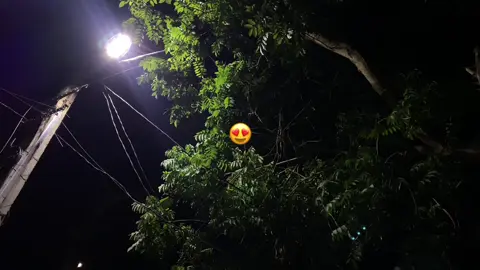 😍✨ #rai #fyp #algeria #اغانيجزائرية🇩🇿🇩🇿🇩🇿🇩🇿👑👑 #اغانيجزائرية🇩🇿🇩🇿🇩🇿🇩🇿👑👑 