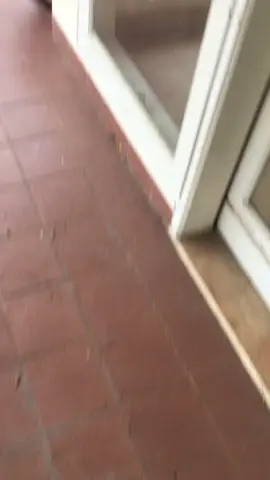 Sudah Berapa kali lewat sini gaeess? #fypシ゚ #gununggeulis #jalurpuncak #wisatabogor 