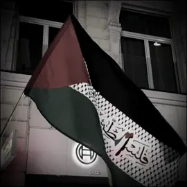 #fyp #viral #seitan #النمسا🇦🇹فيينا #foryoupage 