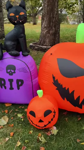 Our Family Homes always get into the spirit with their decor! Have a safe and spooky #Halloween. 👻🎃