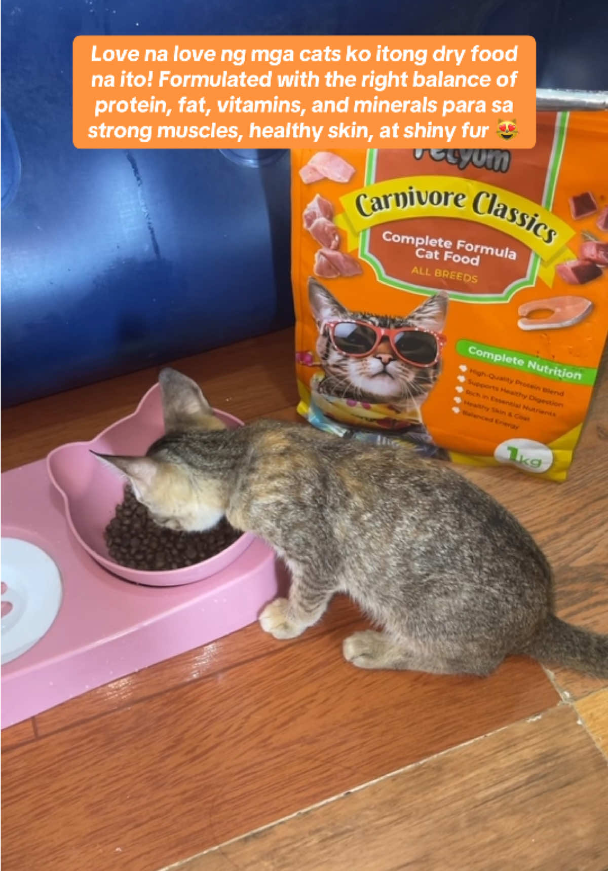 This dry food is formulated with the perfect balance of protein, fat, vitamins, and minerals — giving your fur babies complete and balanced nutrition in every bite 😻😻😻 #petyumcarnivoreclassics #petyumandpetlicious #catdryfood #furbabies #tiktokaffiliate 